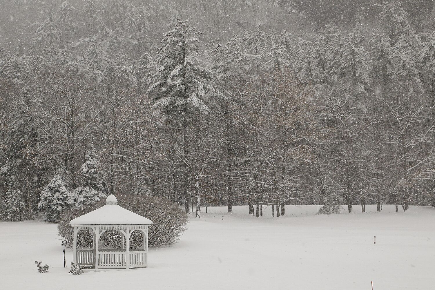 Valley gets healthy heaping of snow, ski areas rejoice